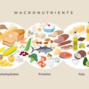 The Truth About the 3 Macronutrients: Debunking Myths, Protein, Carbohydrate & Fat.